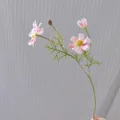 Pink White