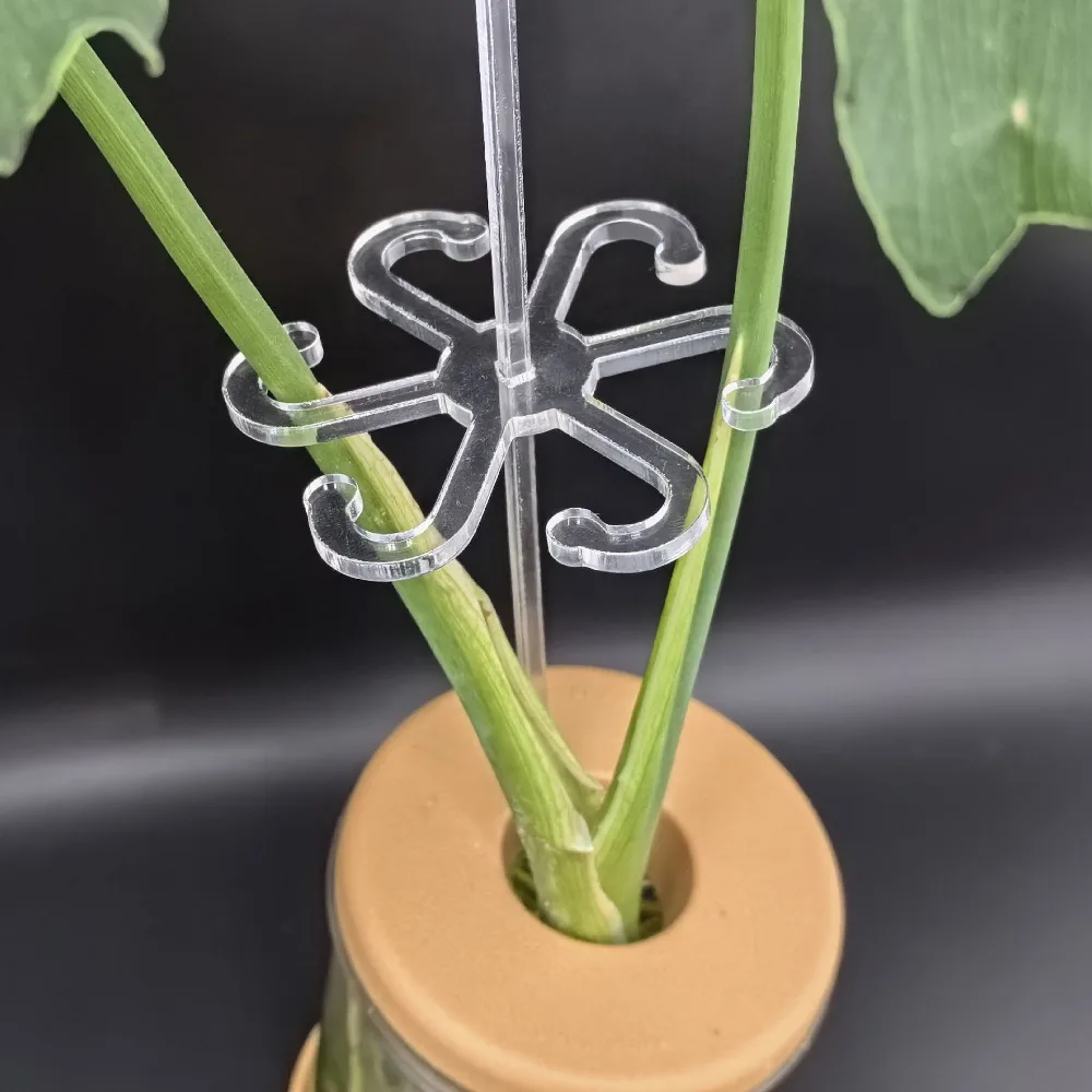 Plant Stem Support 5PCS Outdoor Clear Plant Stem Support Acrylic Garden Tools Plant Support Hook Reusable Stem Organizer Gardening Supplies plant stem support