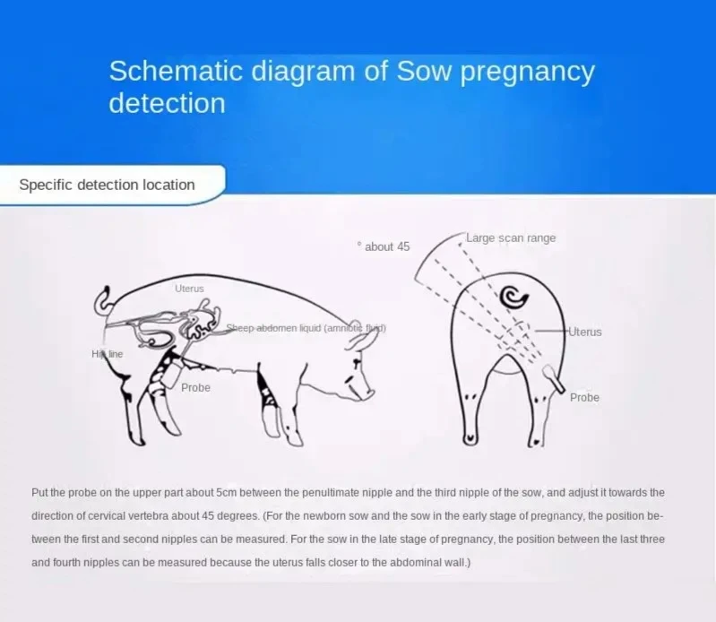 Veterinary B-ultrasound Machine Sow Pregnancy Tester Pig Sheep Cat Dog Pregnancy Test Portable Pet Tester S1