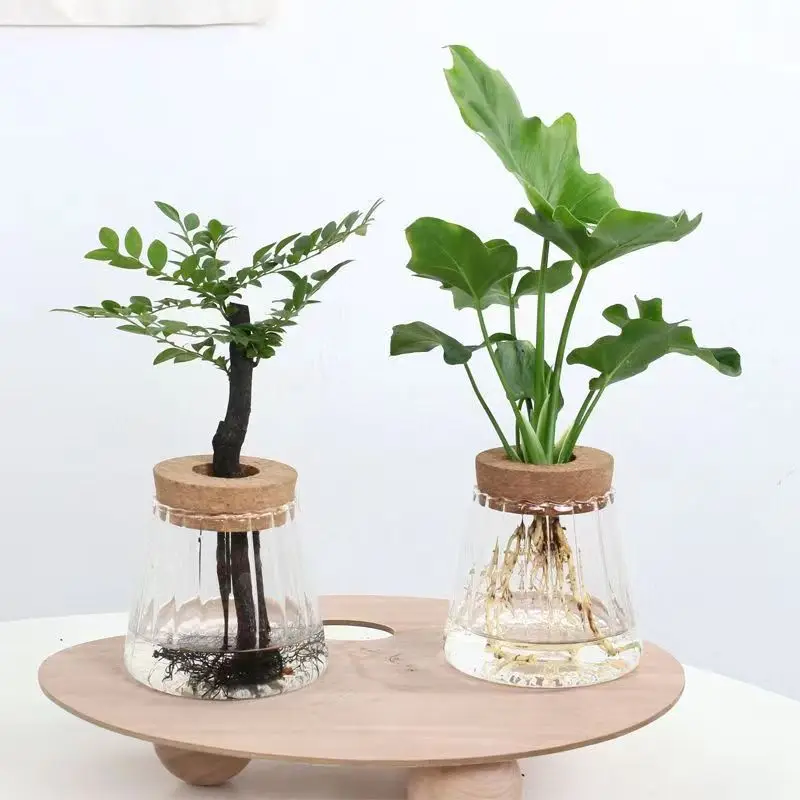 

120 Units Beautiful Glass Bottle New Borosilicate Glass Vase Aquatic Plant Vase Ecological Vase Hydroponics Plant Glass Vase