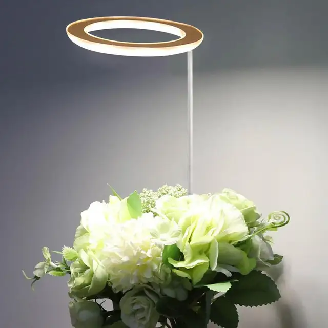 Angyalgyűrűk Grow Világos Kis Növénynövekedés Világítás Növényi Termesztési Lámpák Usb -Aljzat És Automatikus Időzítő Növények Lámpái - Image 3