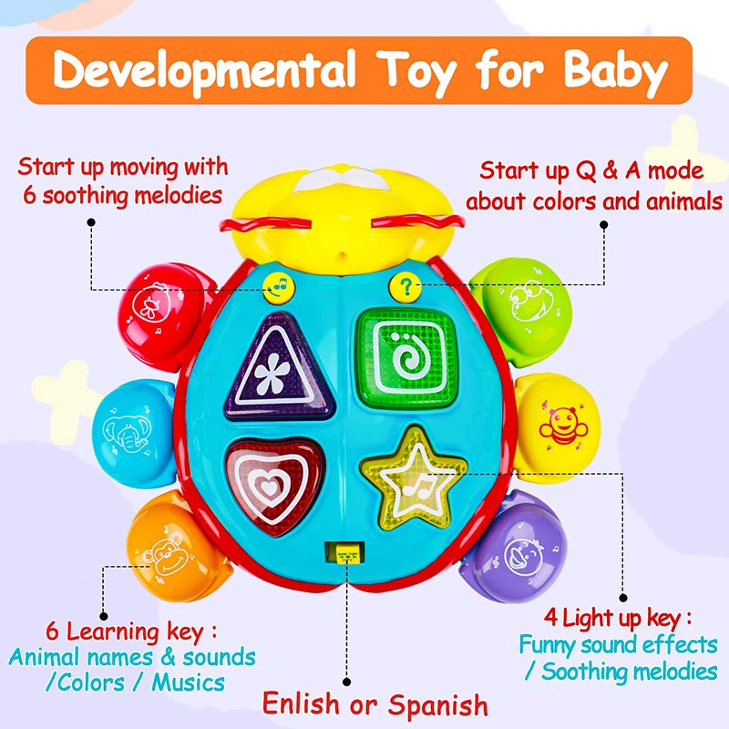 Bilingual Musical Baby Toy 5