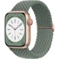 Olive green RG