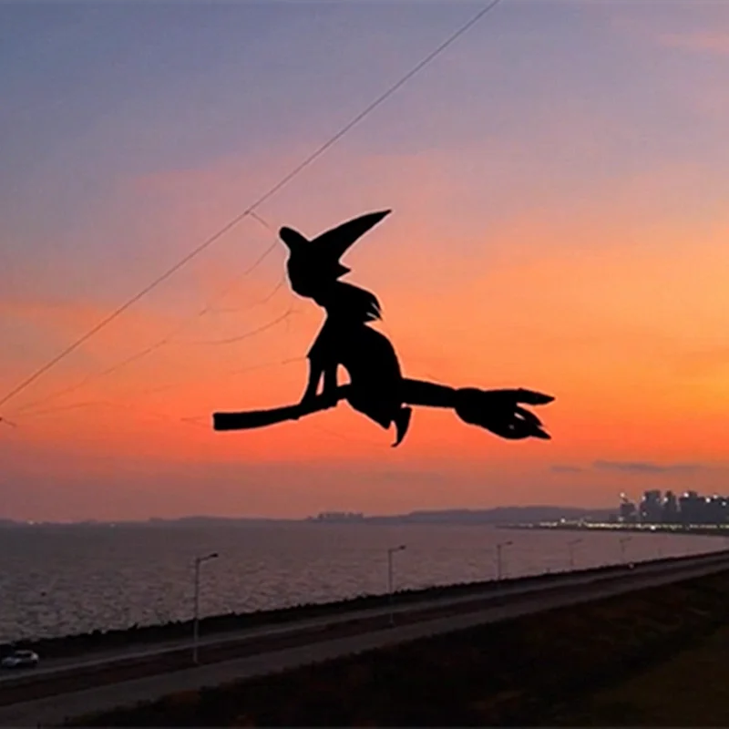 freeshippinglargeinflatablekiteWitchkiteflying3dkiteforadultsprofessionalkite