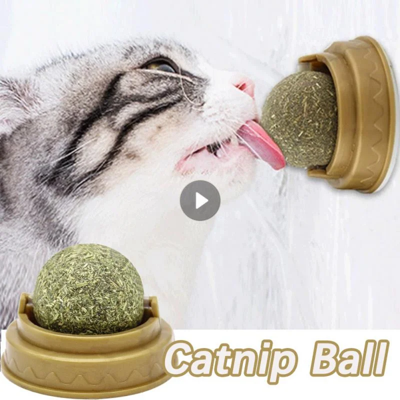 Catnip Cat Wall Ball 1