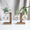 Plant Terrarium with Wooden Stand Bonsai Flower Pot Bulb Glass Hydroponic Plant Vase for Indoor Office Desk Decor Accessories 4