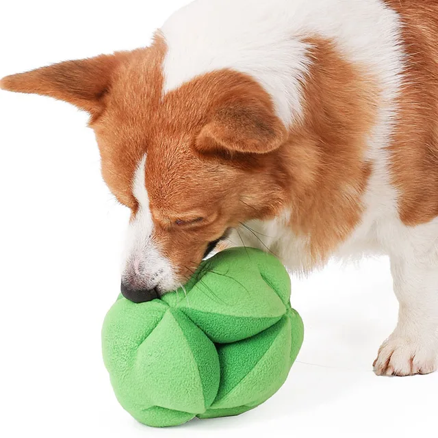 Snuffle Broccoli Dog Puzzle Toys Increase IQ Slow Dispensing Feeder Pet Cat Training Games Feeding Feeding Food Intelligence Toy 4