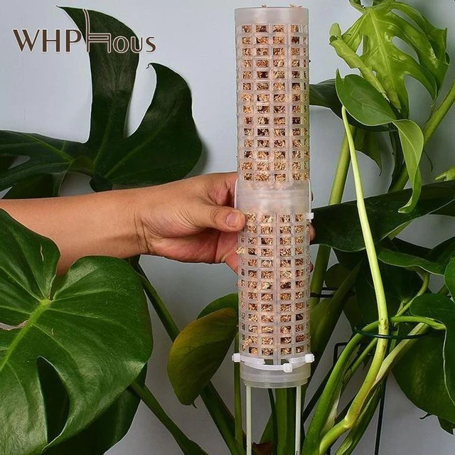 Poteaux en mousse pour plantes grimpantes, bâtons de mousse de sphaigne  d'eau, poteau de colonne de mousse de sphaigne, vignes de fleurs en pot,  extension d'escalade - AliExpress