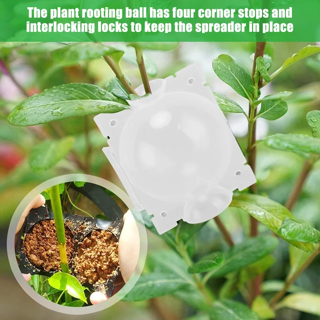 10Db Növény Gyökérgolyó Mezőgazdasági Levegő Markottage Nagynyomású Szaporodási Tenyésztési Tok Transzplantációs Golyó Kerti Csemete - Image 3