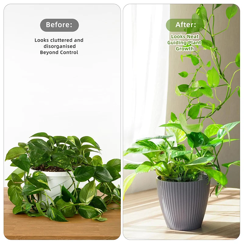 10Pcs Plant Wall Clips for Climbing Plants Wall Plant Holder Support Clips Fixer Invisible Vines Fixing