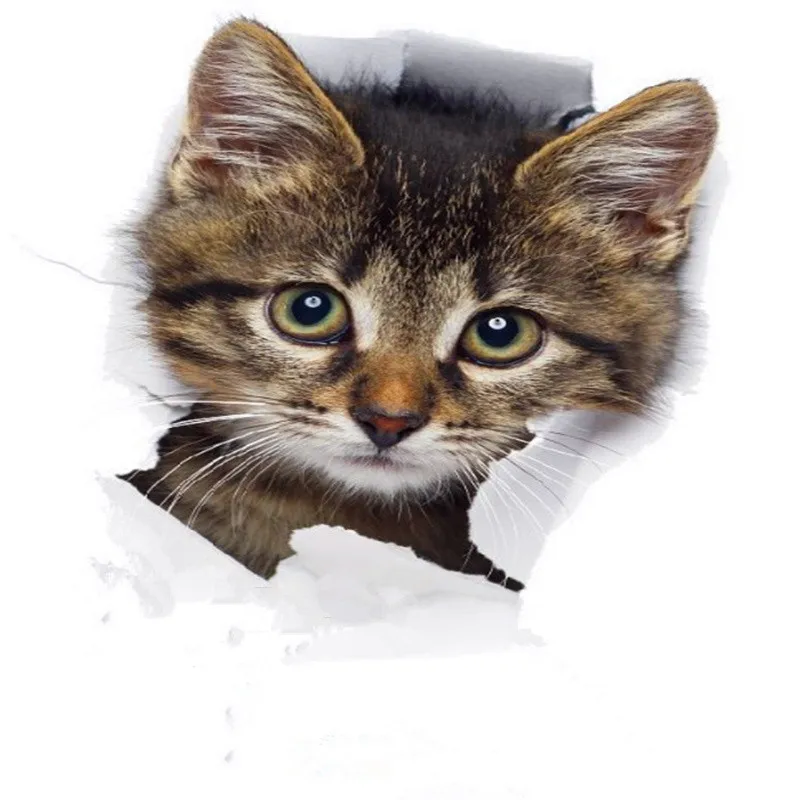 

Free Shipping Waterproof Stereo Cat Wall Sticker Bedroom Living Room Toilet Sticker Self-Adhesive Removable PVC Sticker