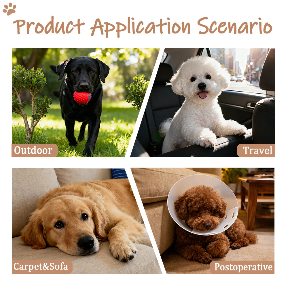 Reusable Male Dog Diaper 5