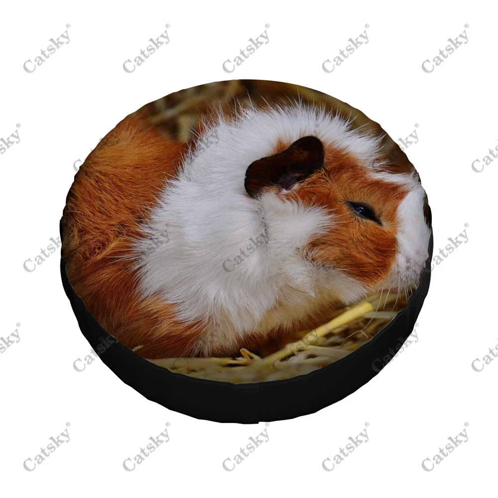 �Ϳ��� ����Ǳ� ����Ʈ �ڵ��� ����� Ÿ�̾� Ŀ��, ��� ��ȣ, Ʈ�� SUV Ʈ���Ϸ�, �ڵ��� �׼�����, ķ�� ���, 14-17 ��ġ