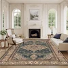 Luxury Persian Carpets for Living Room Decoration Home Large Size Rugs Non-slip Sofa Coffee Tables Mats 200x300 Bedroom Rug 3