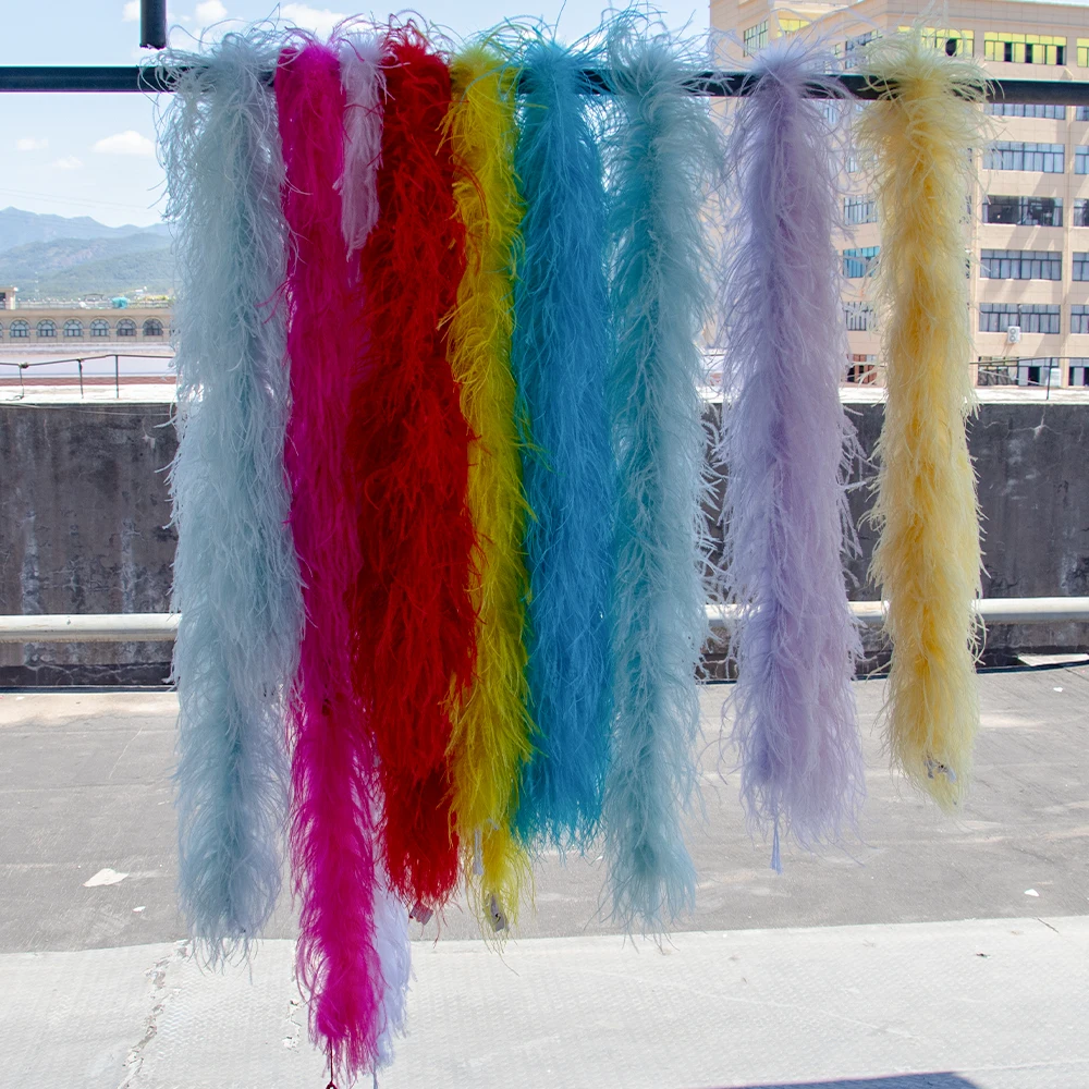 6Ply Real Ostrich Feather Boa 0.5M 1M 2M Long for Costume Dress Decoration Plume Accessoryin