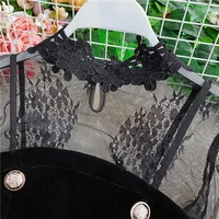 Temperament Commute Style Suit 2024 Spring Lace Embroidered Mesh Top Velvet Tube Top One-Piece Shorts Two-Piece Set for Women - Image 3