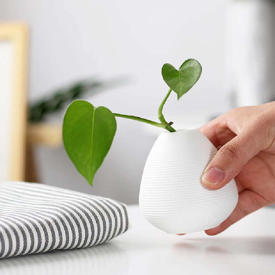Elegant Ceramic Vases for Stylish Home Decor and Versatile Plant Display