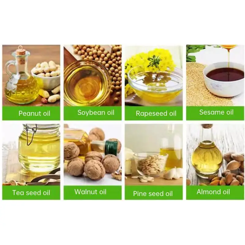 220V Commercial Fully Automatic Hydraulic Medium-sized Rapeseed Peanut Oil Press Electric Hydraulic Press