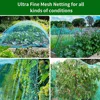 Anti Bird Netting Pond Pool Protection Net Mesh Garden Plant Fruit Tree Vegetables Flower Traps Netting Protect Pest Control 4