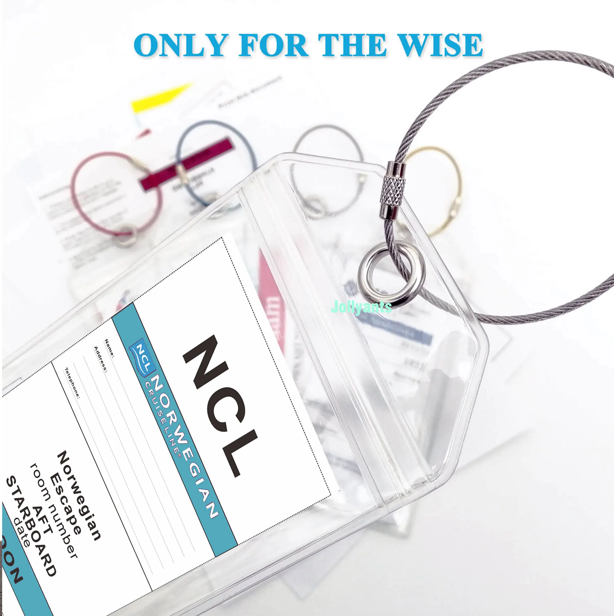 Рисунок 4 - Багажная бирка NCL для норвежского круизного лайнера