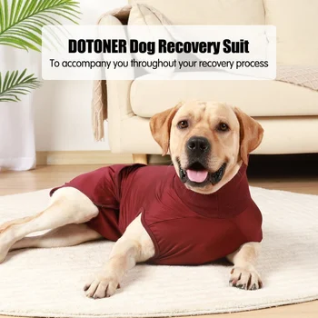 Recovery Suit for Dogs Cats After Surgery Professional Pet Recovery Shirts Dog Abdominal Wounds Bandages Prevent Licking XXS-3XL 2