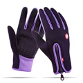 Upgrade purple