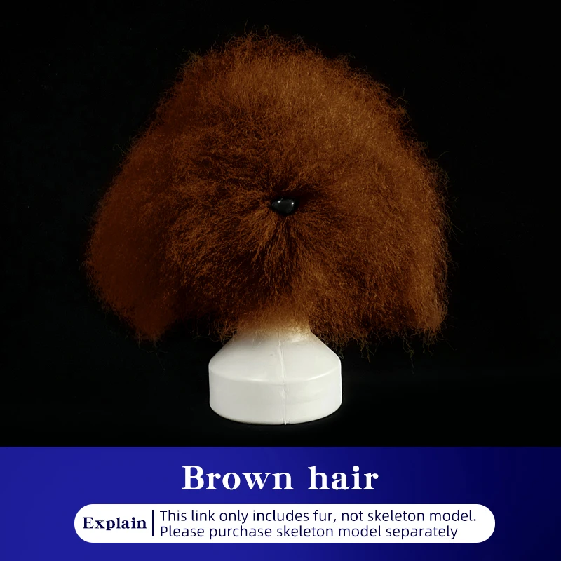 Only Brown hair