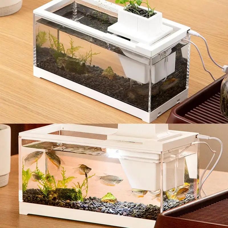 

Desktop Fish Tank Leak Proof Low Voltage Quiet Desk Aquarium Mini fish tank with water pump For Living Rooms Bedrooms Shelves