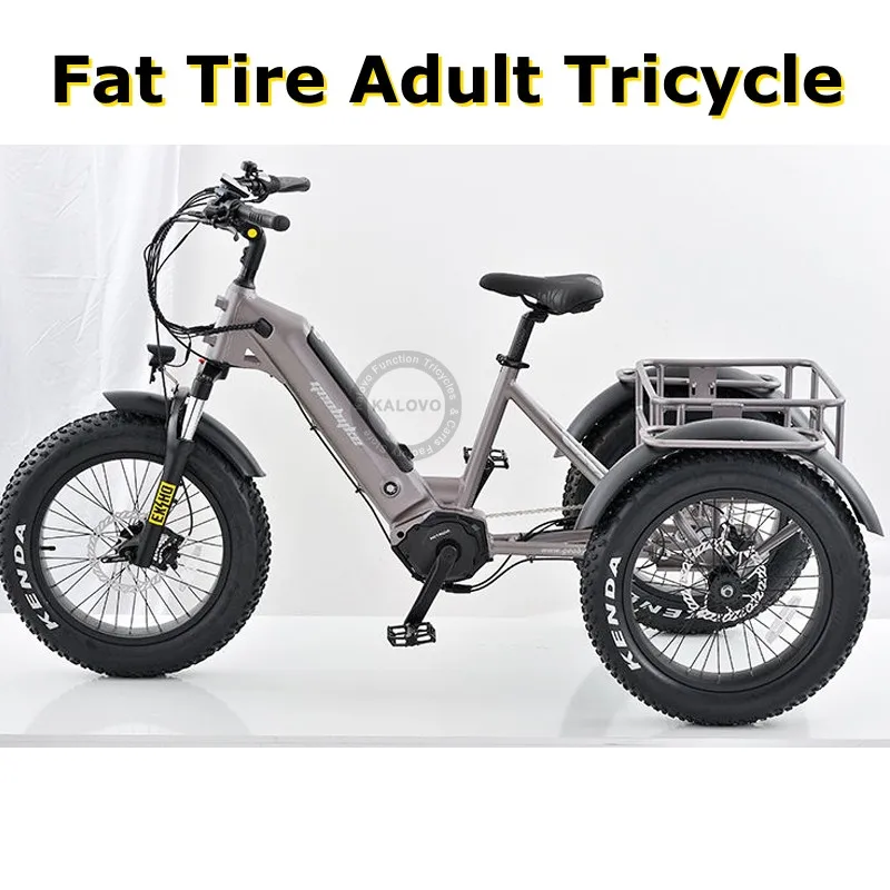 3 Wheel Electric Cargo Tricycle 500w Long Range Fat Tire Adult Electric