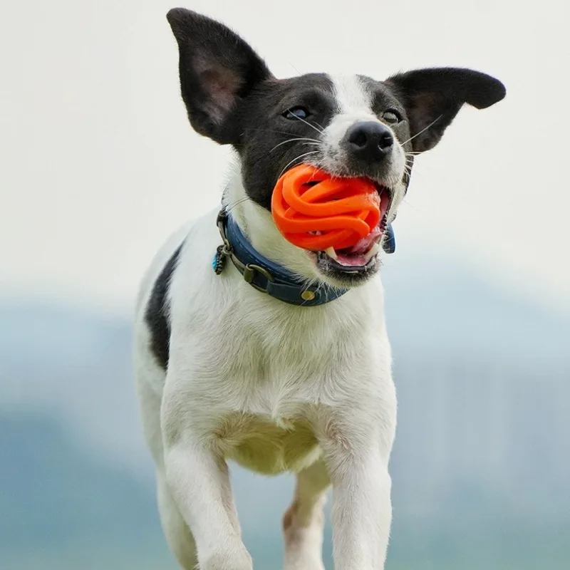 Pet Toys - Bite-resistant Chewing Balls - Hollow Elastic Balls - Training Balls -Entertainment and Relaxation Toys -Pet Supplies - 5
