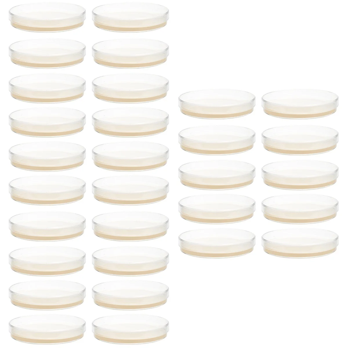 

30 pcs Prepoured Agar Plates Petri Dishes with Agar Science Experiment Supplies