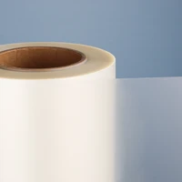 30cm 33cm 60cm*100m DTF PET Film Roll Direct Transfer to T-shirt Heat Transfer DTF Printer A3 A2 Cold Hot Warm Peel PET Film Rol 2