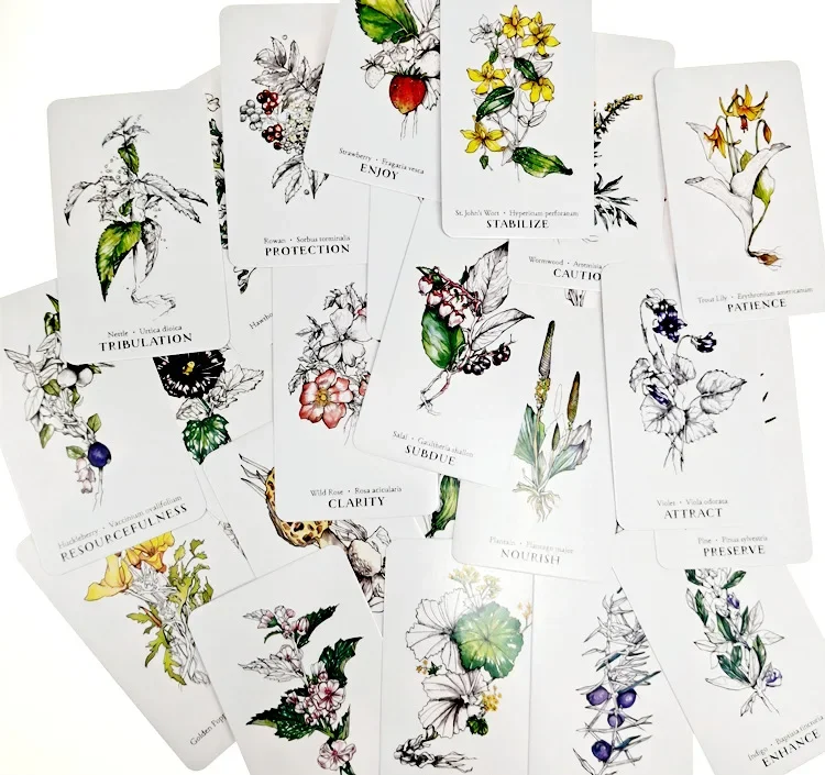 Fast Ship HOT Hedge Witch Botanical Oracle Cards 40 Pcs Wisdom From The Boundary Lands Tarot Deck Games With PDF Guidebook 5