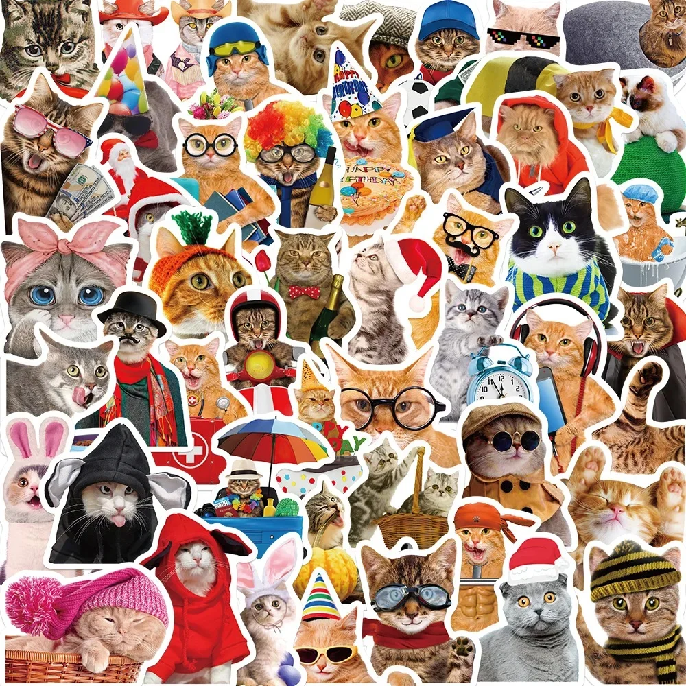 

50PCS/Bag Funny Kitty Cat Animal Meme Stickers Cute Decals Toys Suitcase Skateboard Laptop Luggage Bike DIY Waterproof Sticker