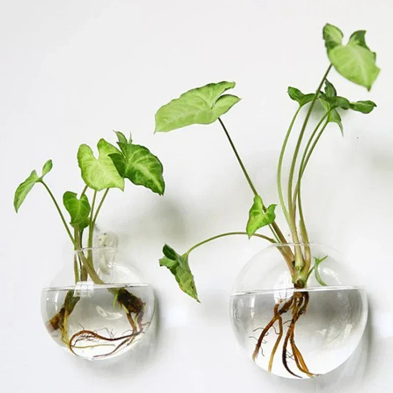 Hydroponic Glass Vase Wall Hanging Terrarium Transparent Flower Vase Fish Tank Aquarium Container Flower Pot Home Decor fish aquarium