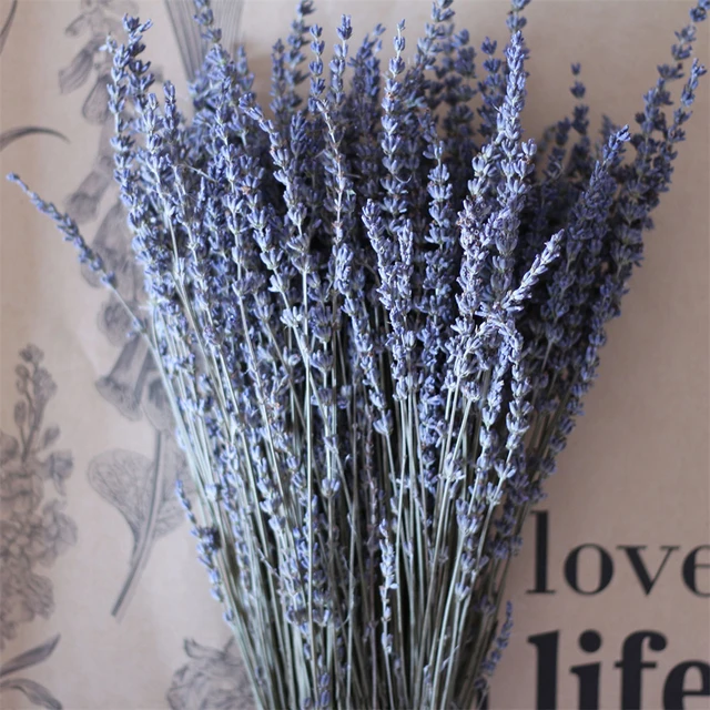 Lavanda seca de alta calidad, racimos de flores de lavanda seca