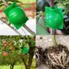 Plant Rooting Ball High Pressure Graft Breeding Case Nursery Box Propagation Plant Root Pot Garden Accessories 4