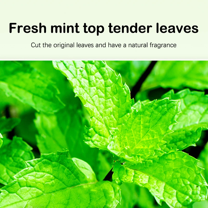 10Pcs*2g Catnip Tea Bags Adjusting Emotions Drink Plenty Of Water Cat Grass Chopped Leaf Powder Cat Digestion Clean Teeth Cats