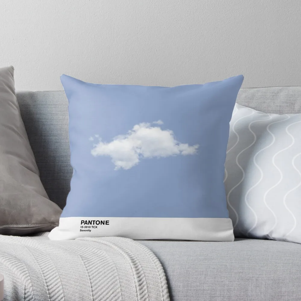 

Serenity Blue Pantone Cloud Throw Pillow Decorative Cushions Embroidered Cushion Cover Couch Pillows