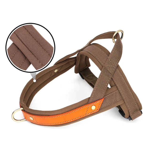 No Pull Dog Harness Soft Padded Dog 3