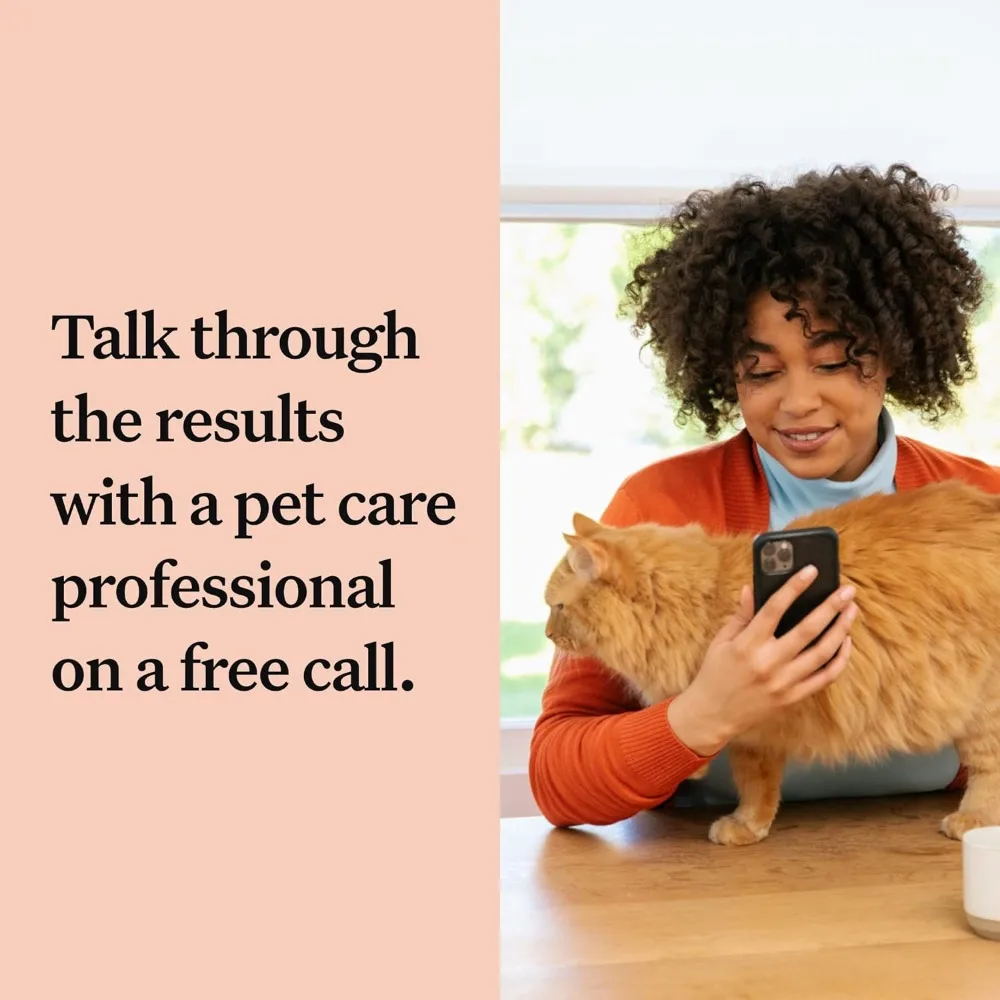 Comprehensive Cat DNA Test kit for 45 Health Genetic Health Conditions 70+ Breeds and populations 25+ Traits Blood Type 2 Pack