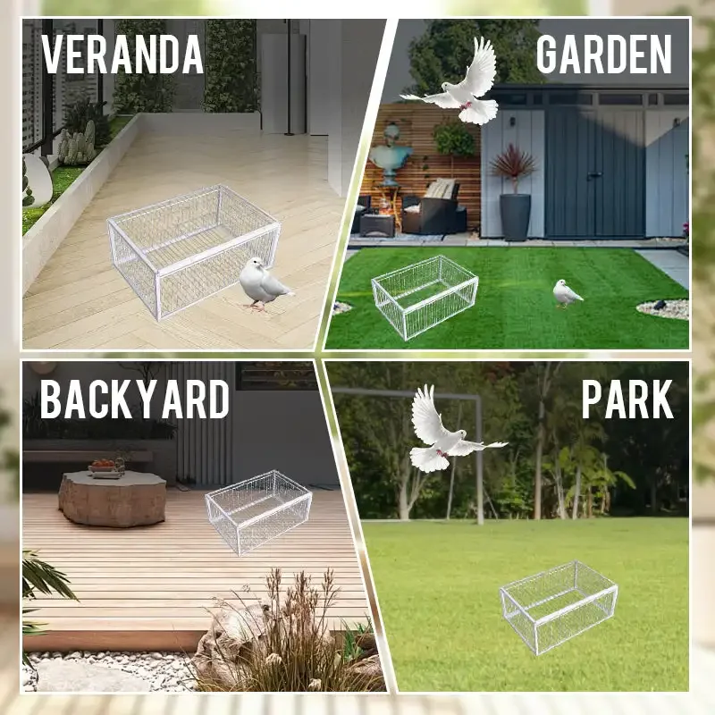 New Auto Trap Bird Cage Rabbit Cage Mouse Entry Only and No Exit Thickened and Encrypted Automatic Pigeon Collecting Tool