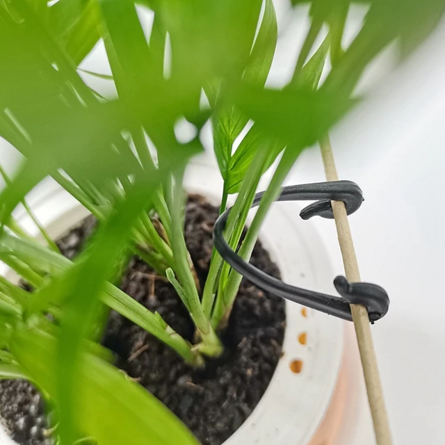 50X Kerti Növények Csomagolt Csatszőlő Szőlő Zöldség Heveder Klipek Üvegházhatású Zöldségek Szárak Rögzítő Rögzítőszerek Szerszám - Image 4