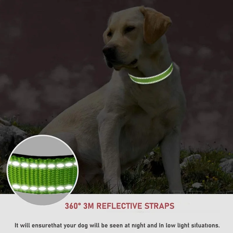 Decorative Dog Choker Collar 3