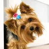 50PCS  Dog Hair Accessories Hair Clips for Small Dogs Colorful Cute Crown Hairpin for Dog Girls Pet Hair Grooming Dog Supplies 6