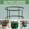 Green Plant Support Pile Frame Greenhouse Arrangement Semicircle Fixed Rod Indoor Flower Plants Vine Climbing Bracket Hock Pen 5