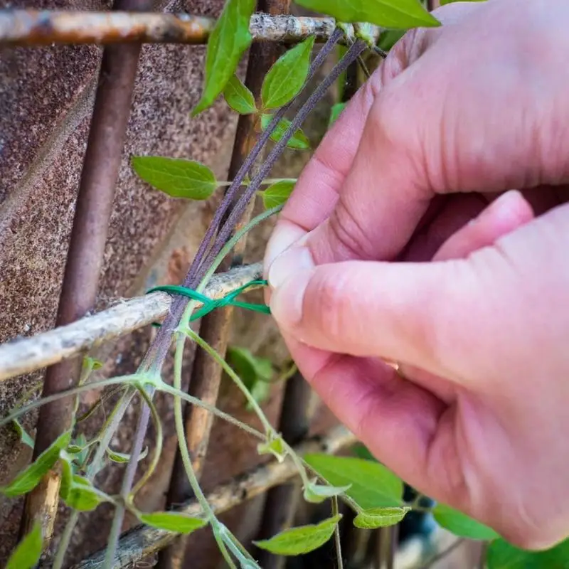 Garden Twine String Soft Stretchy Plants Support String Acrylic Garden Plant Climbing Strapping Ties Binding Plants plant ties