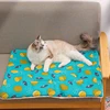 Comfortable Four Seasons Universal Puppy House Colorful Winter Cat Bed Cat House Dog Bed Pets Mat Pet Supplies Pet Accessories 2