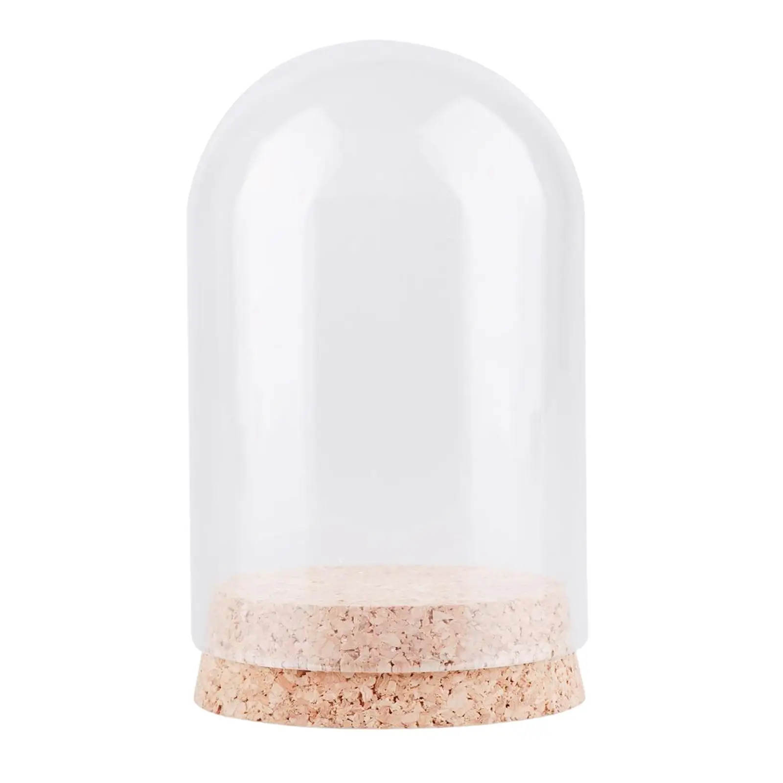 10x Clear Display Dome with Base Collectibles Decor DIY Tabletop Decor Birthday Gift Crafts Glass Cloche Showcase Cover