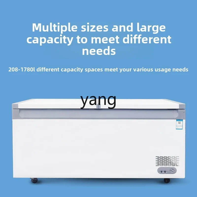 LMM Commercial Capacity Horizontal Household Refrigerator Refrigerated Freezer Single and Double Temperature Freezer